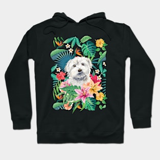 Tropical Maltese Dog 2 Hoodie